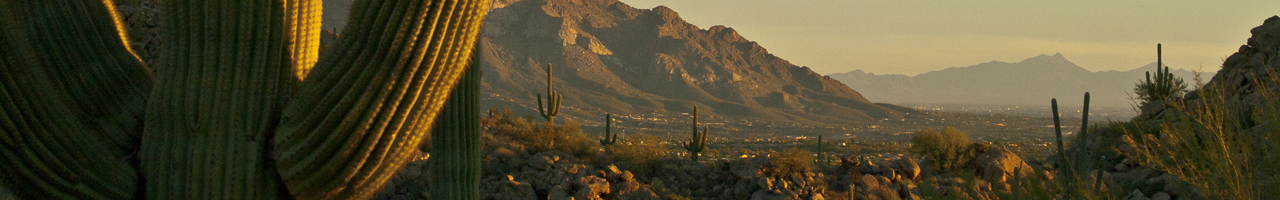 Desert Image The Woodall Team specializes in Stone Canyon, Oro Valley and Northwest Tucson real estate