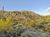 created by dji camera