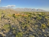 created by dji camera