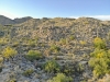 created by dji camera