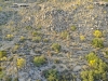 created by dji camera
