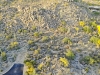 created by dji camera