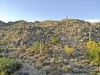 created by dji camera