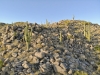created by dji camera