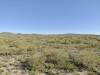 created by dji camera
