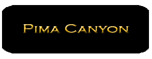 Search Pima Canyon Homes