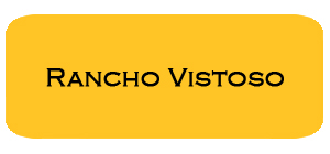 January '19 Rancho Vistoso Housing Report