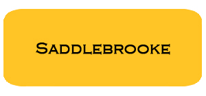 January '19 Saddlebrooke Housing Report