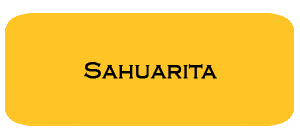January '19 Sahuarita Housing Report
