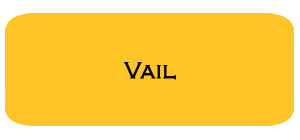 January '19 Vail Housing Report