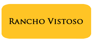 May '24 Rancho Vistoso Housing Report