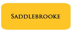 May '24 Saddlebrooke Housing Report