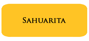May '24 Sahuarita Housing Report