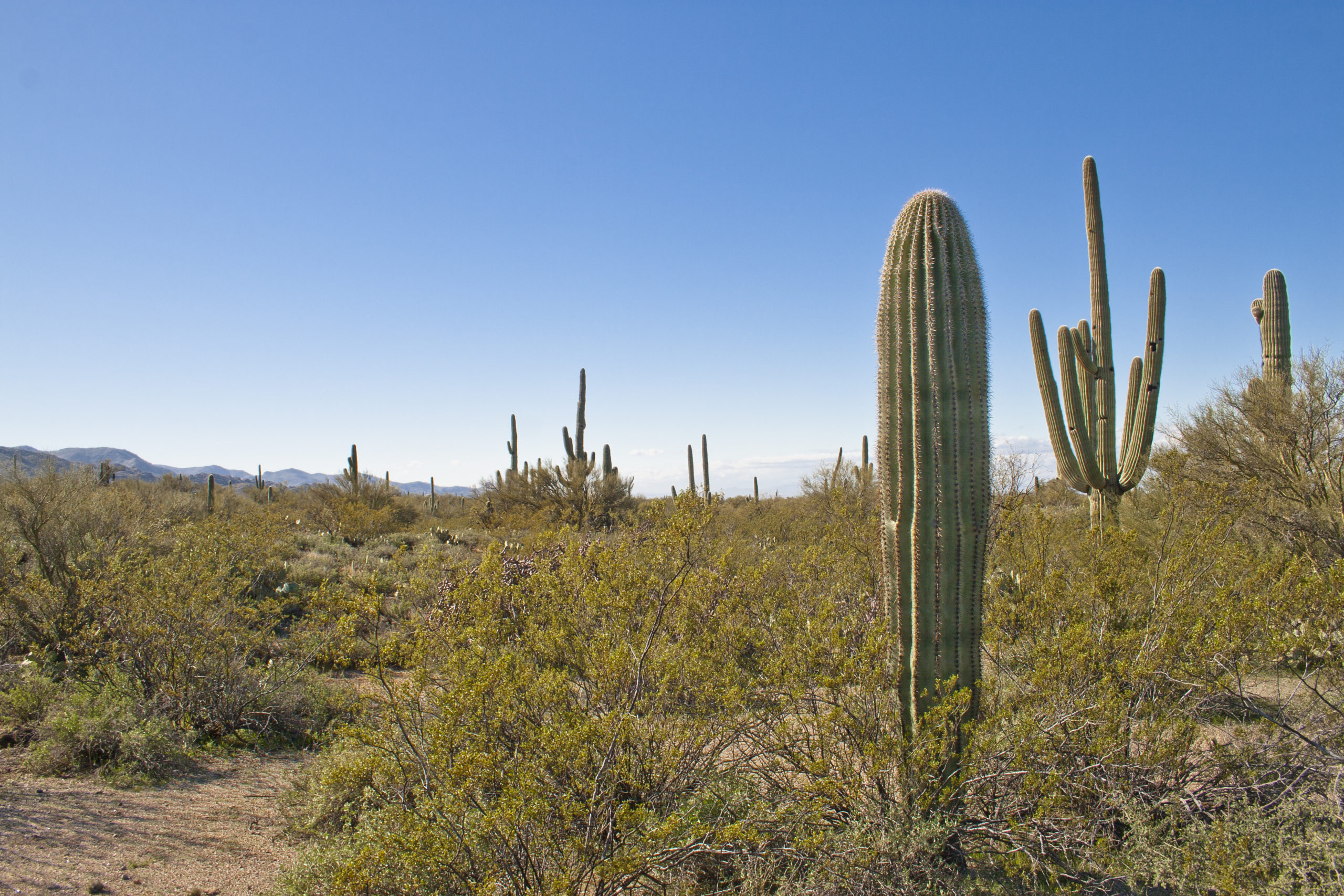 Owl Head Buttes | Team Woodall